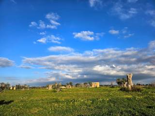 Terreno agricolo in vendita ad alezio strada provinciale san nicola alezio taviano