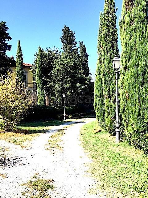 immagine annuncio 2 di 6