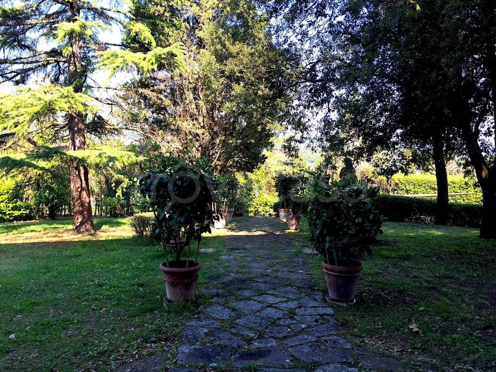 immagine annuncio 4 di 6