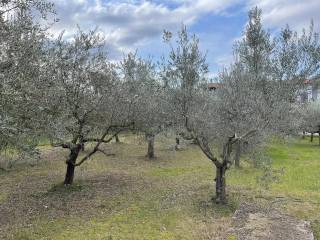 Terreno residenziale in vendita a perugia 