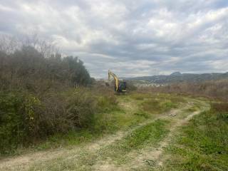 Terreno agricolo in vendita a settingiano via delle betulle