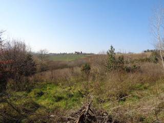 Terreno agricolo in vendita a rimini via montechiaro, 13