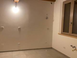 Casale in affitto a correggio 