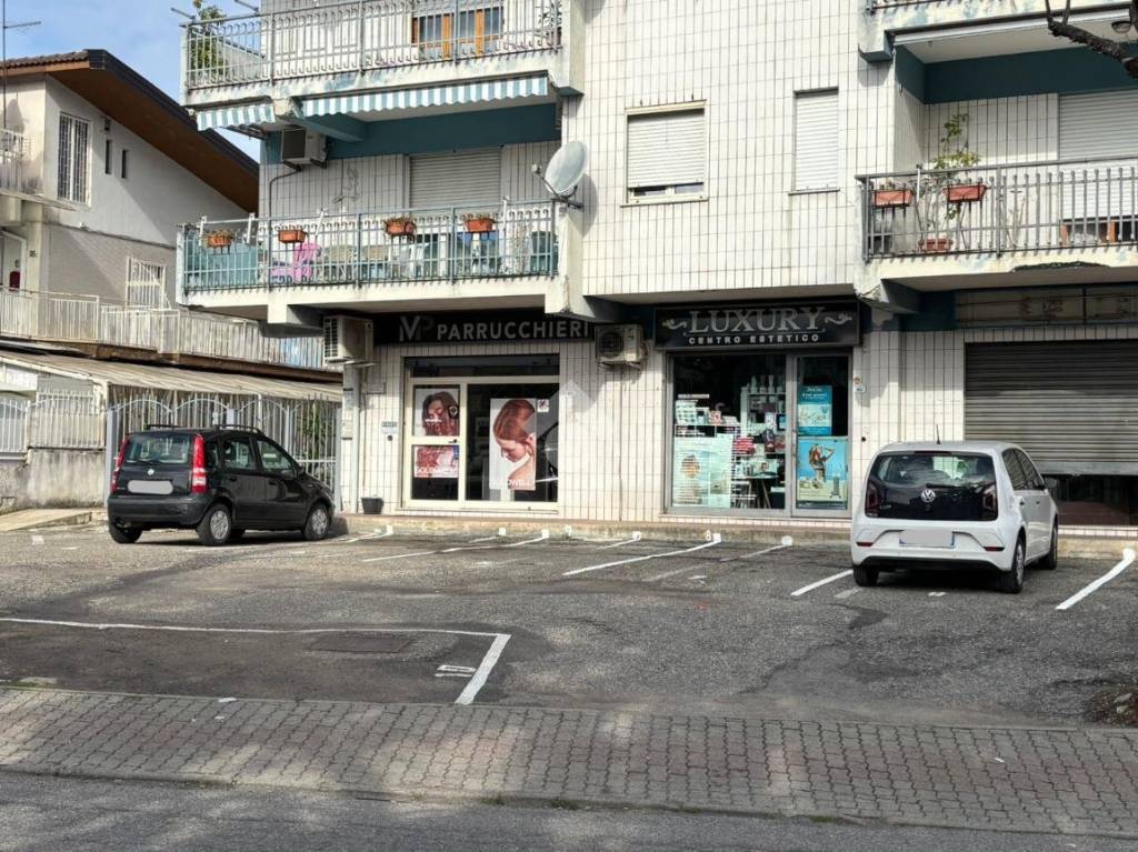 immagine annuncio 3 di 12