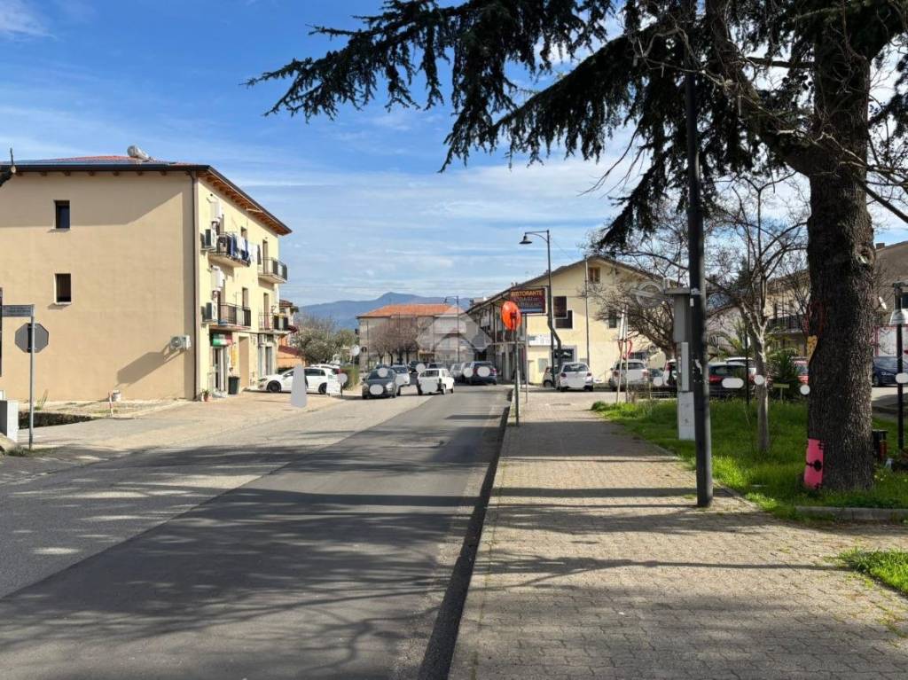 immagine annuncio 6 di 12