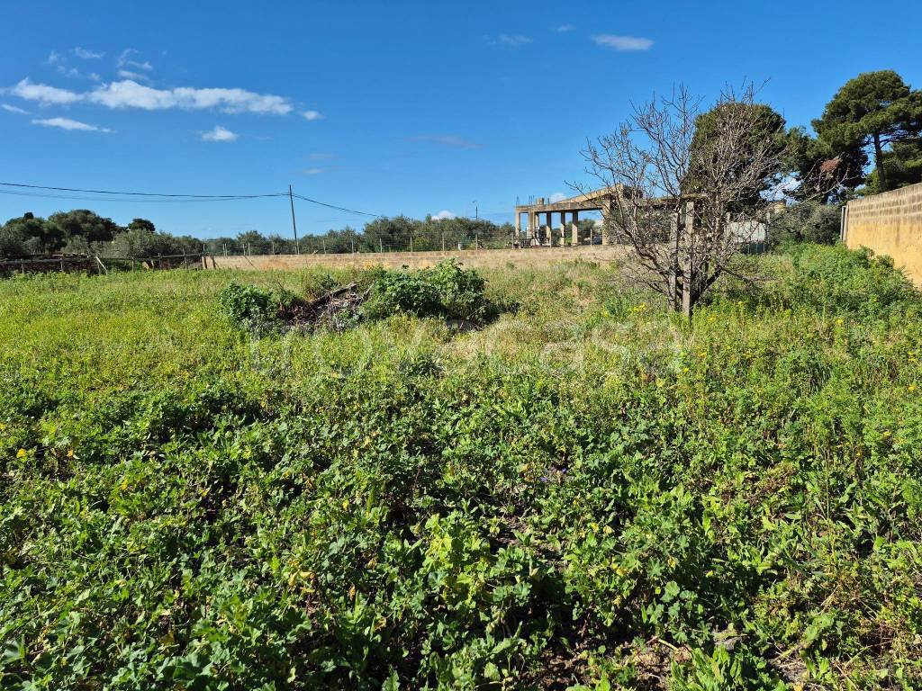 immagine annuncio 2 di 11