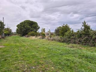 Terreno agricolo in vendita a tarquinia località san giorgio, snc