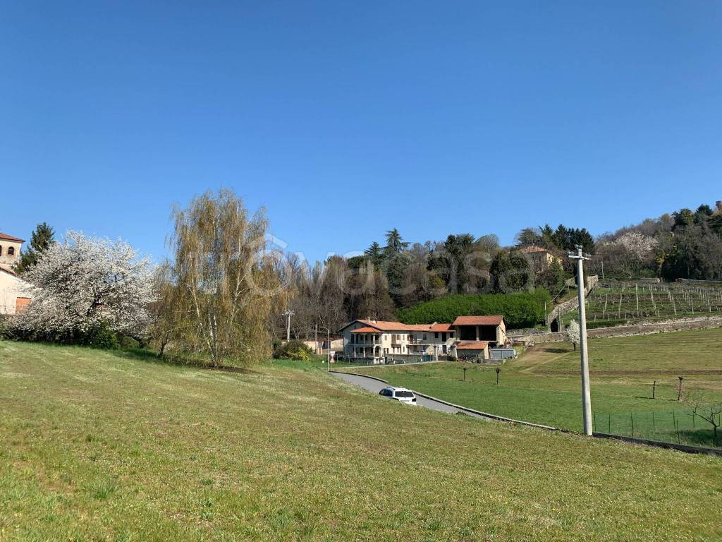 immagine annuncio 3 di 6