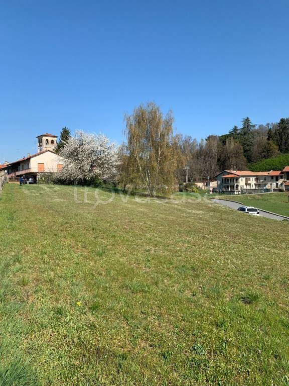 immagine annuncio 4 di 6