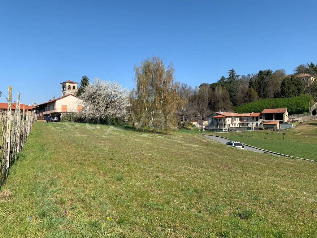 immagine annuncio 5 di 6