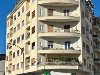 Appartamento in in affitto da privato a grosseto viale telamonio, 3