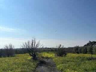 Terreno agricolo in vendita a motta sant'anastasia via san nicola, 25