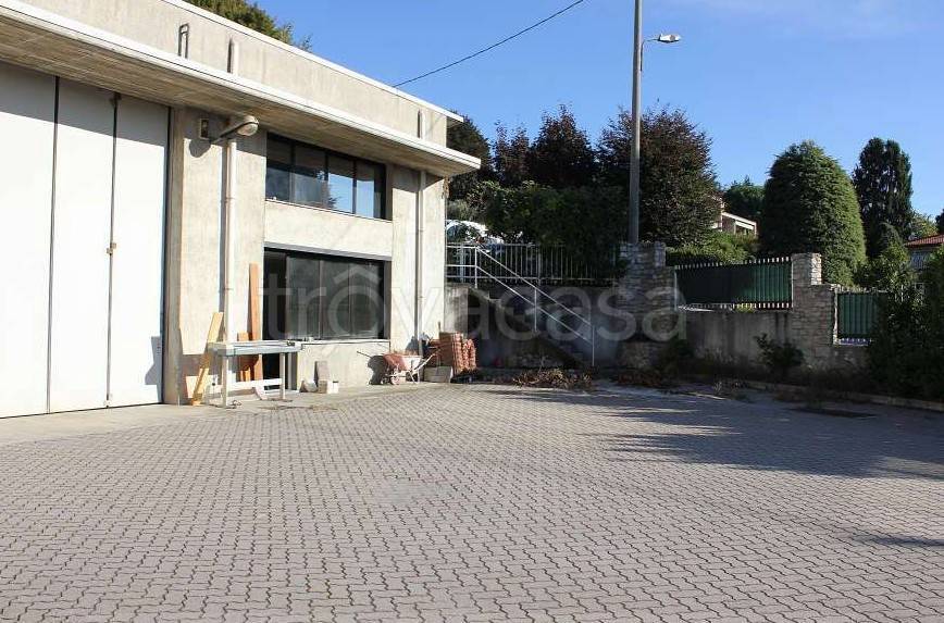 immagine annuncio 1 di 12