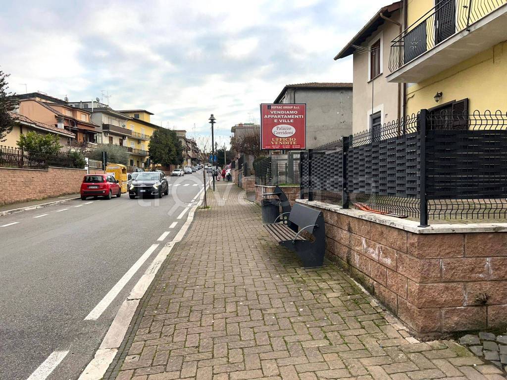 immagine annuncio 1 di 14