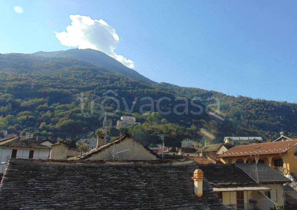 immagine annuncio 10 di 14