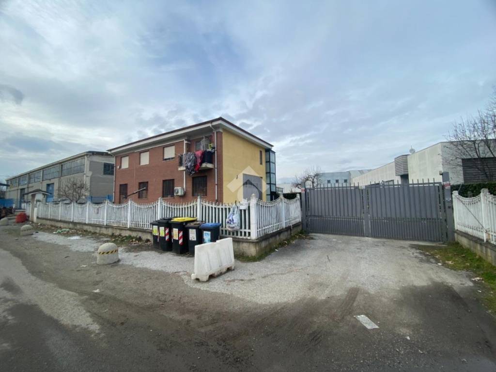 immagine annuncio 1 di 15