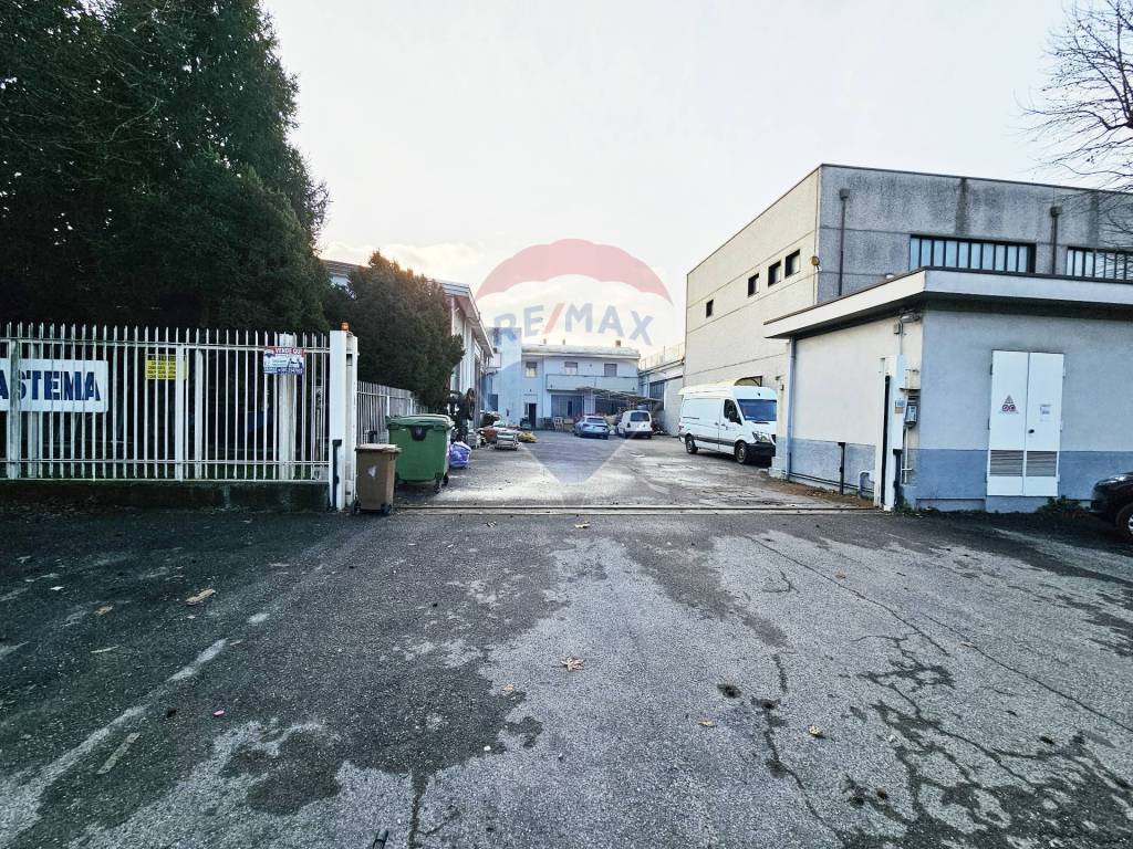 immagine annuncio 8 di 15