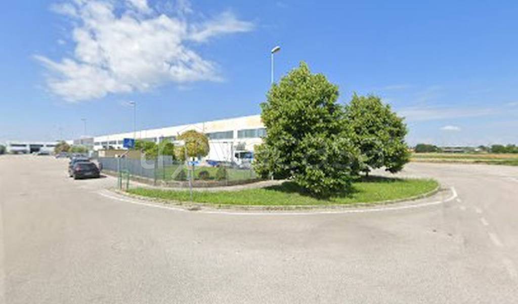 immagine annuncio 9 di 11