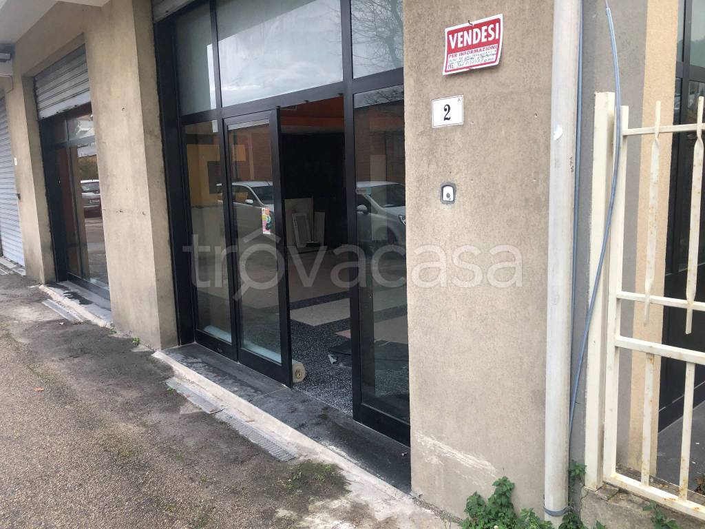 immagine annuncio 8 di 9