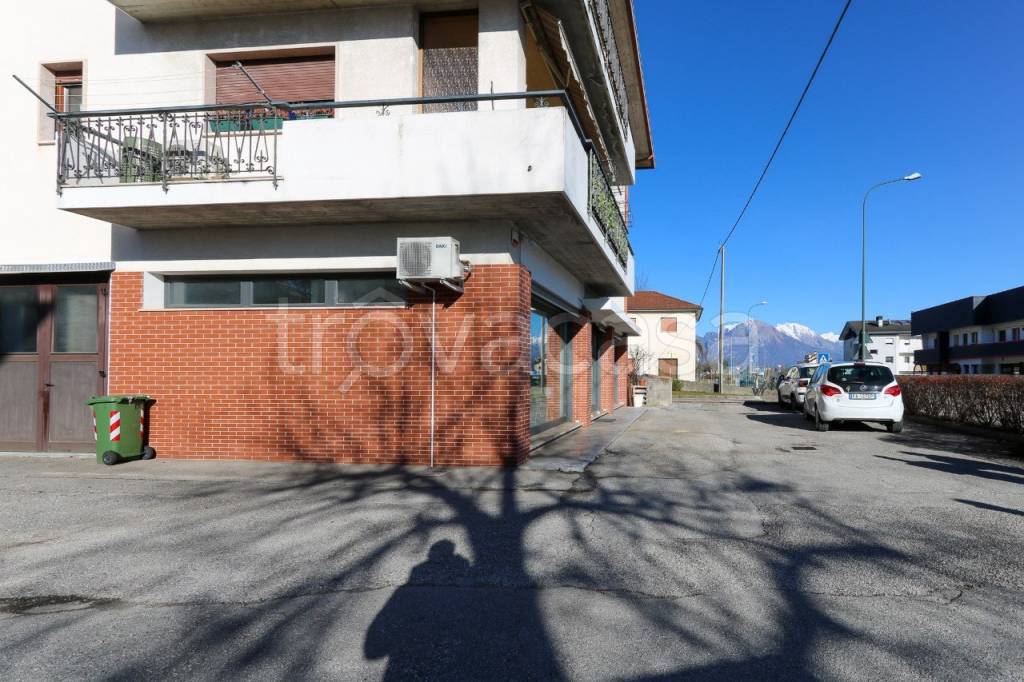 immagine annuncio 4 di 14
