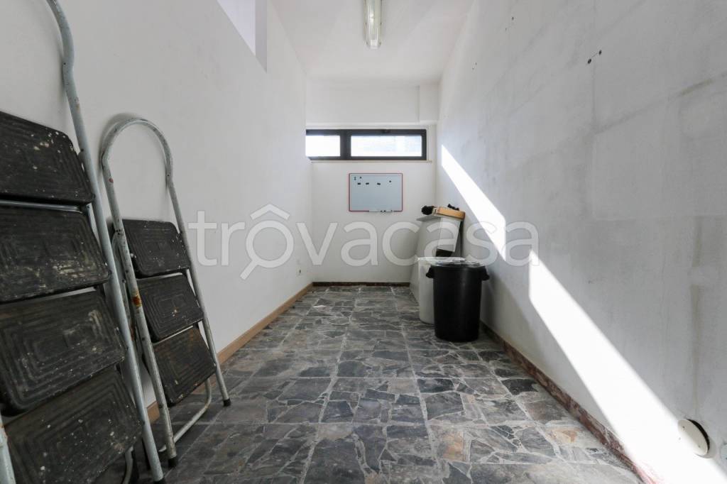immagine annuncio 7 di 14