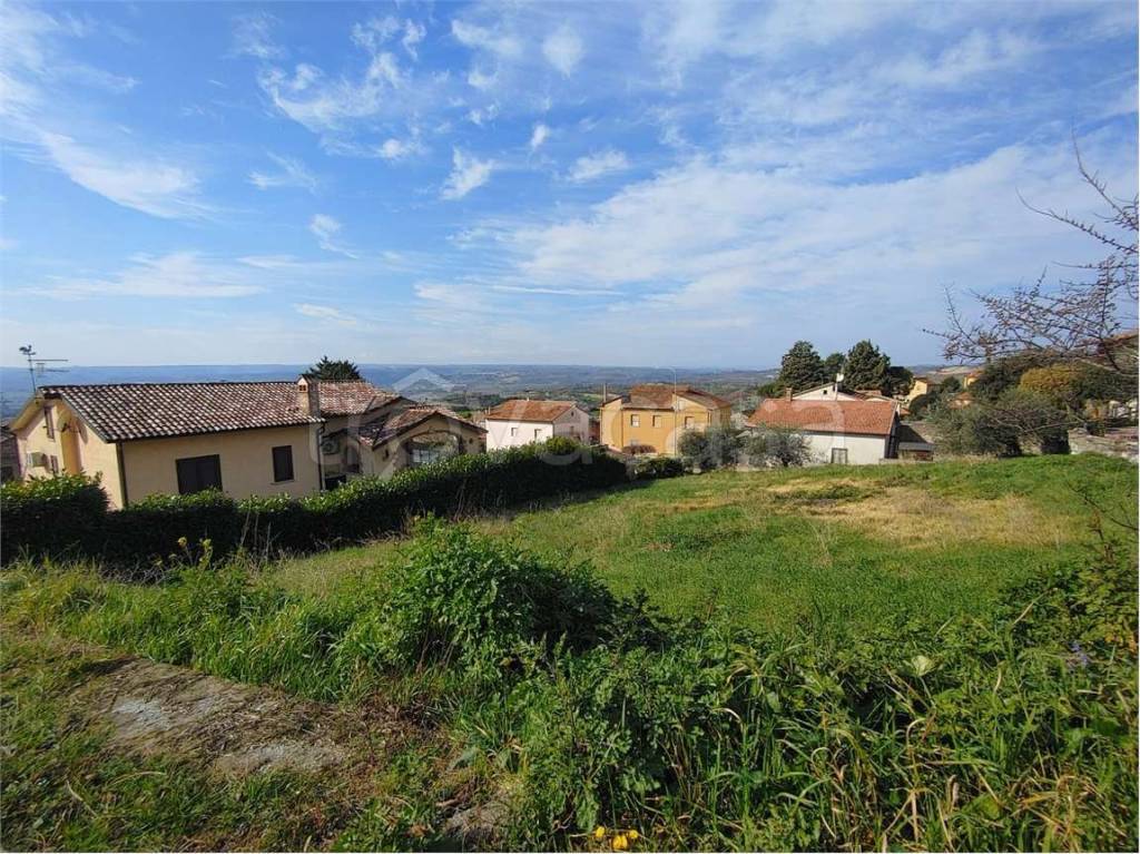immagine annuncio 4 di 8