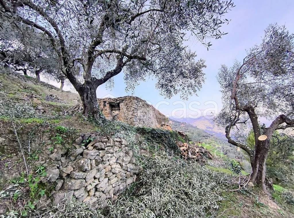 immagine annuncio 4 di 14