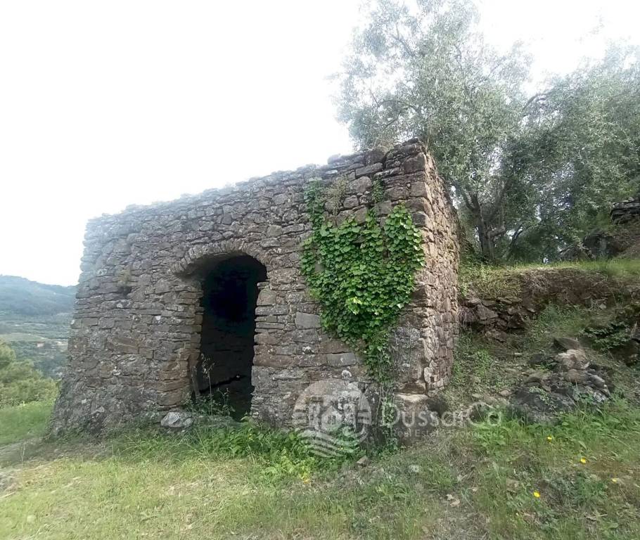 immagine annuncio 9 di 14