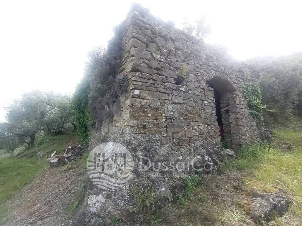 immagine annuncio 10 di 14