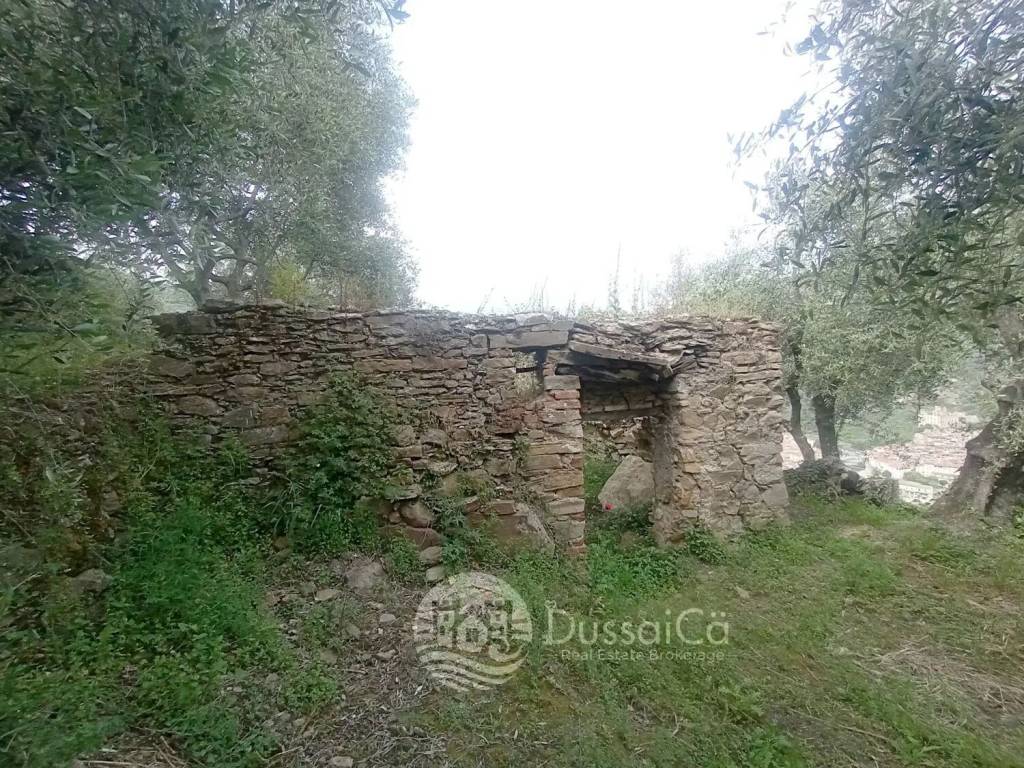 immagine annuncio 11 di 14