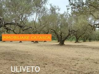 Terreno agricolo in vendita a marta strada della mergonara