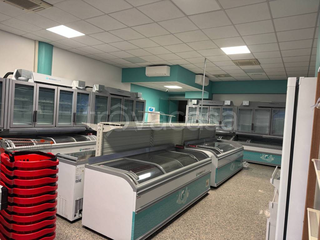 immagine annuncio 3 di 8