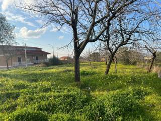 Terreno residenziale in vendita a vibo valentia via roma