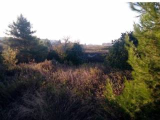 Terreno agricolo all'asta a lecce via del ninfeo