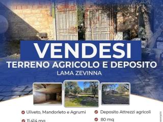 Terreno agricolo in vendita a giovinazzo contrada lama zevinna