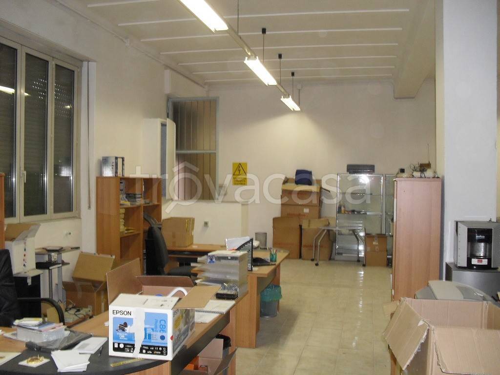immagine annuncio 9 di 11
