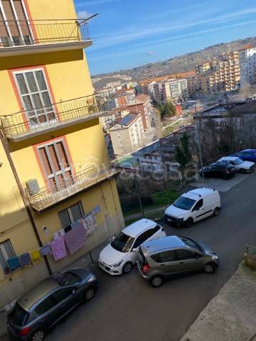 immagine annuncio 12 di 14