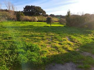 Terreno agricolo in vendita a roma via degli ordelaffi