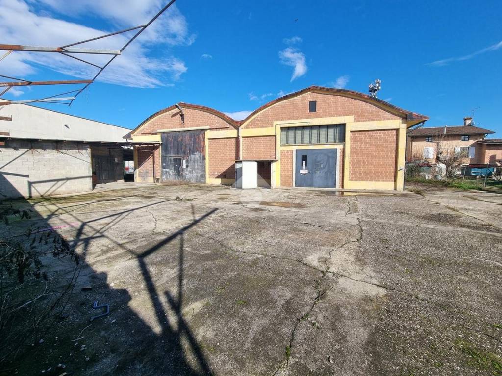 immagine annuncio 5 di 13