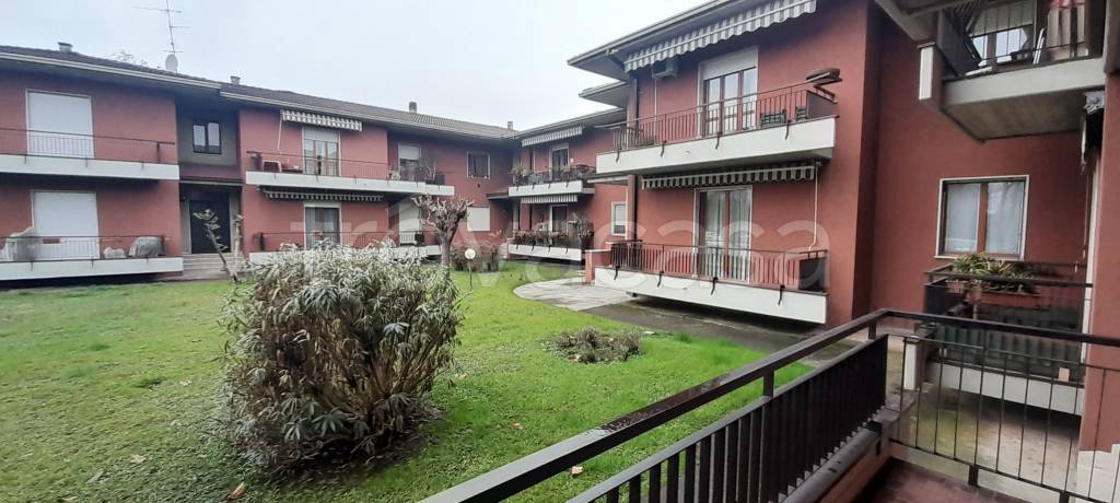immagine annuncio 5 di 12