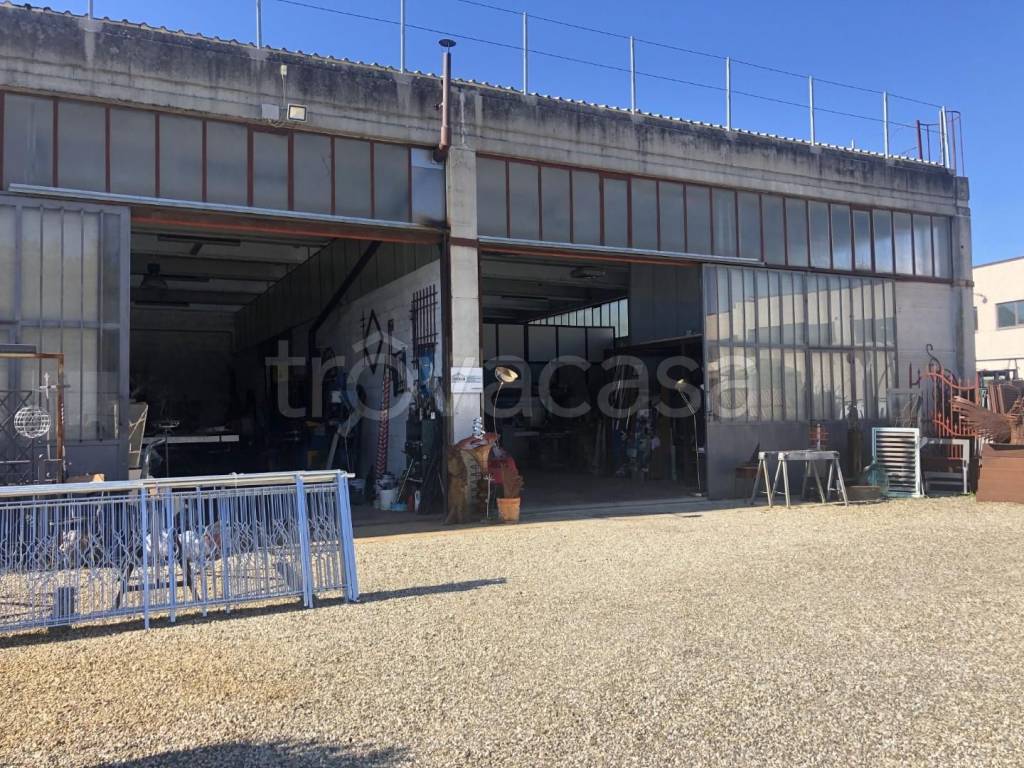immagine annuncio 9 di 15