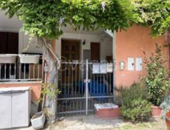 immagine annuncio 3 di 12