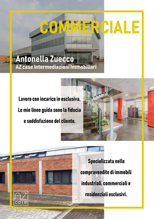immagine annuncio 5 di 6