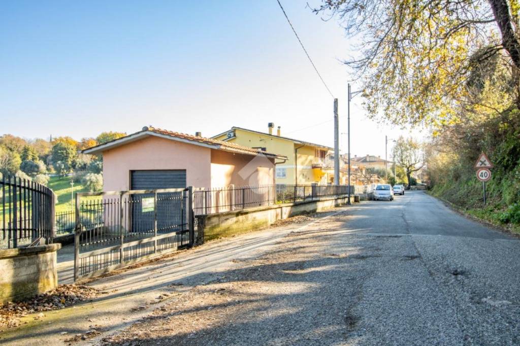 immagine annuncio 2 di 14