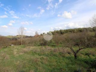 Terreno agricolo in vendita a montelibretti via dei pini, 1