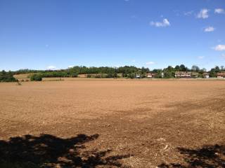 Terreno agricolo in vendita a usmate velate via arturo toscanini