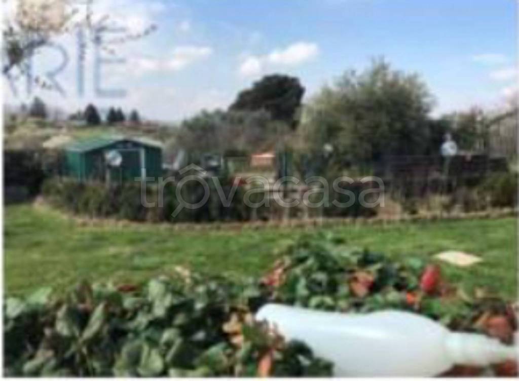 immagine annuncio 11 di 13