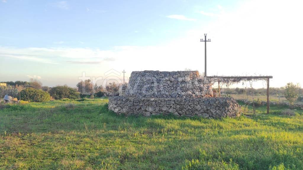 immagine annuncio 4 di 11