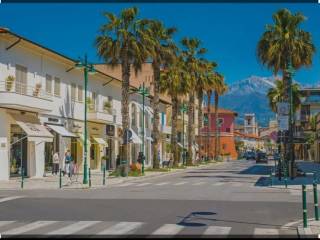 Terreno agricolo in vendita a forte dei marmi via trento s.n.c.