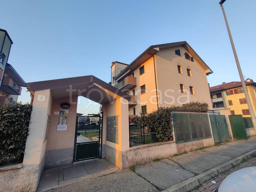 immagine annuncio 1 di 15